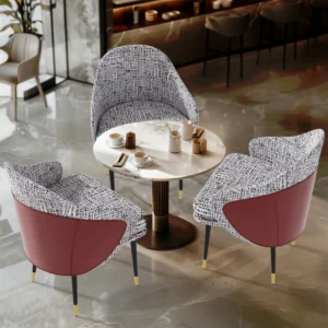 LUVODI 2PCS of Dining Chairs Modern Upholstered Kitchen Two Toned Sponge Padded Dining Room Chairs for Home,Restaurants